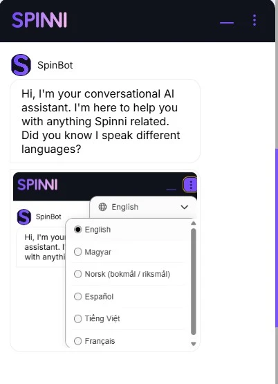 Spinni Kasino Chatbot